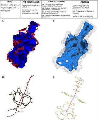 Chanalyzer: A Computational Geometry Approach for the Analysis of Protein Channel Shape and Dynamics